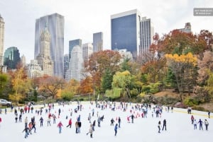 Tour Ufficiali di Central Park in Pedicab