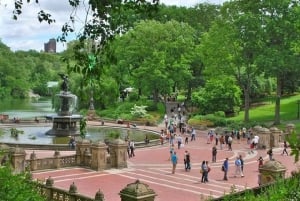 Passeios oficiais de Pedicab no Central Park