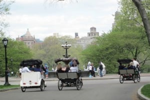 OFFICIËLE rondleidingen met fietstaxi door Central Park