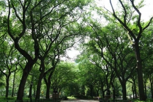 OFFICIËLE rondleidingen met fietstaxi door Central Park