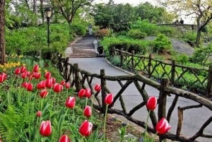 Passeios oficiais de Pedicab no Central Park