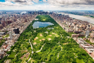 Visite privée à pied de Central Park avec transferts