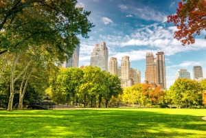 Tour privato a piedi di Central Park con trasferimenti