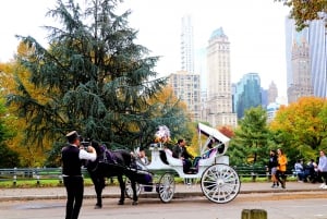 Central Park: korte rit met paard en wagen (maximaal 4 volwassenen)