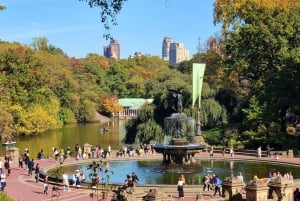 Udlejning af tandemcykler i Central Park