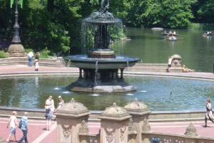 Excursão a pé pelo Central Park