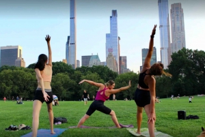 Central Park: Den høyest rangerte yogatimen i New York City!