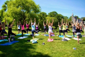 Central Park : le cours de yoga le plus apprécié de New York !