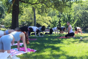 Central Park: Den högst rankade yogaklassen i New York City!