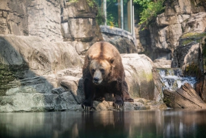 Ticket für den Central Park Zoo
