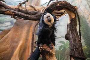 Ticket für den Central Park Zoo