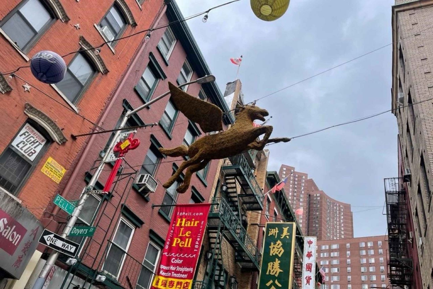 Chinatown Walking Food Tour of New York