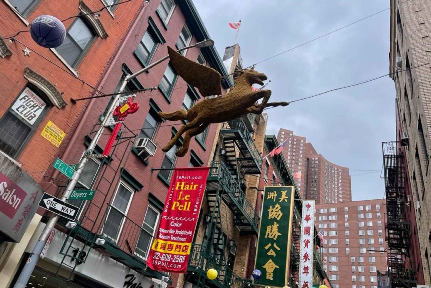 Chinatown Walking Food Tour in New York
