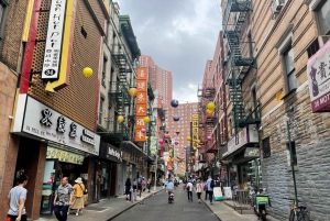 Chinatown Walking Food Tour in New York
