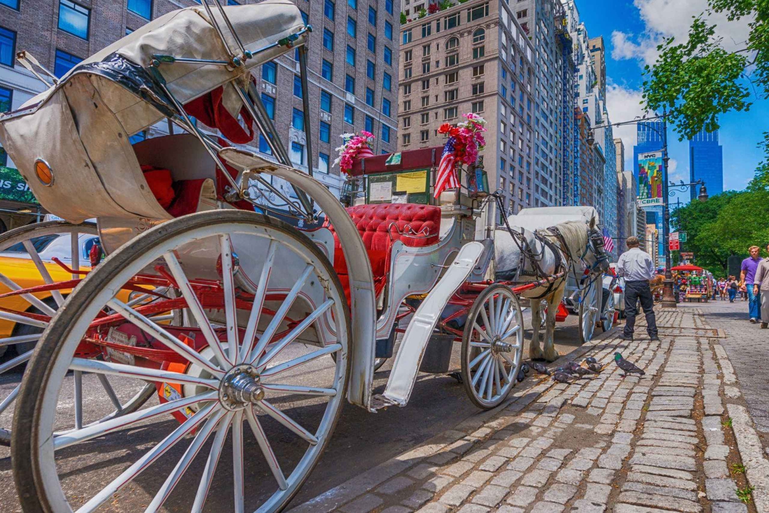 セントラルパークのクリスマス：ホースキャリッジ・ホリデーツアー