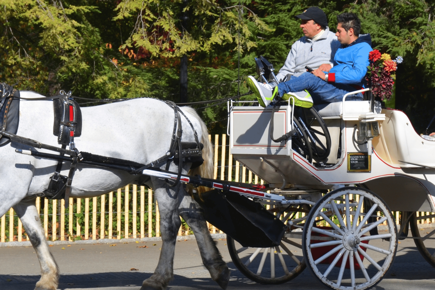 セントラルパークのクリスマス：ホースキャリッジ・ホリデーツアー