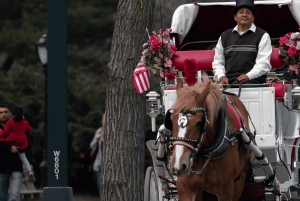 セントラルパークのクリスマス：ホースキャリッジ・ホリデーツアー