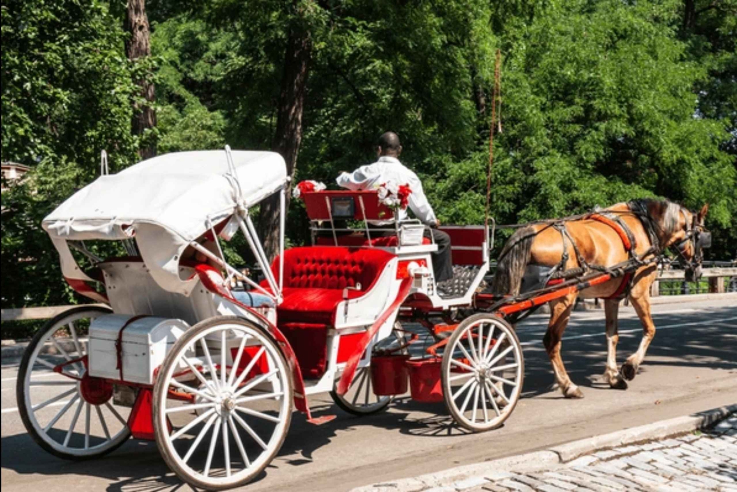 Navidad en Nueva York: paseo en carruaje tirado por caballos para ver las luces navideñas