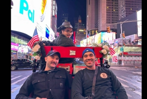 Navidad en Nueva York: paseo en carruaje tirado por caballos para ver las luces navideñas