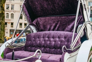 Navidad en Nueva York: paseo en carruaje tirado por caballos para ver las luces navideñas