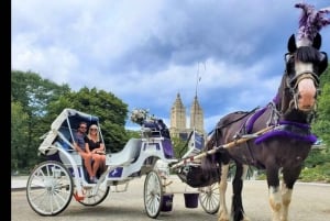Navidad en Nueva York: paseo en carruaje tirado por caballos para ver las luces navideñas