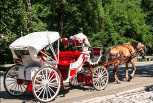 Navidad en Nueva York: paseo en carruaje tirado por caballos para ver las luces navideñas