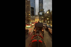 Navidad en Nueva York: paseo en carruaje tirado por caballos para ver las luces navideñas