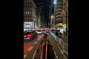 Navidad en Nueva York: paseo en carruaje tirado por caballos para ver las luces navideñas