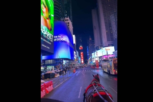 Navidad en Nueva York: paseo en carruaje tirado por caballos para ver las luces navideñas