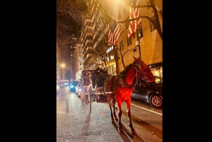 Navidad en Nueva York: paseo en carruaje tirado por caballos para ver las luces navideñas