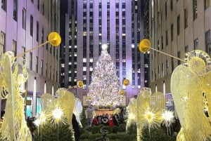 Kerstmis in New York: Rockefeller Tree Rickshaw Tour