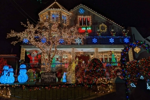 Visita nocturna con luces de Navidad