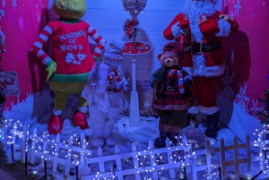 Visite de la nuit des lumières de Noël