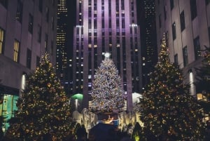 Christmas Lights And City Lights Pedicab Tour