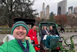 Christmas Lights And City Lights Pedicab Tour