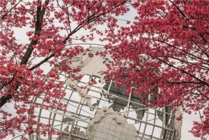 Omvisning i New Yorks kontraster