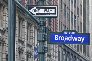 Skab dit eget NYC: 100 % tilpasselig privat tur