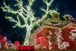 DHCL - Visite guidée en bus et à pied de NYC : Dyker Heights