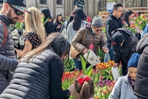 Oppdag Manhattans skjulte perler