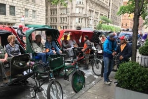 NUEVA YORK Recorrido en bicitaxi por el centro de Manhattan