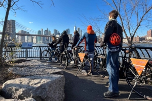 ¡Recorre el centro de la ciudad en bici con estilo en una bici holandesa o eléctrica!