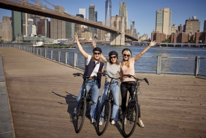 Tour in bicicletta del centro con le eleganti biciclette olandesi!