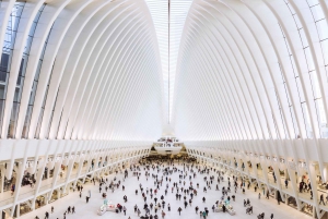 NYC: Tour guidato del centro città, del distretto finanziario e di Ground Zero