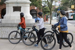 Electric Bike Tour: Klassisches Manhattan und mehr!