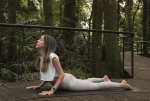 Løft din energi: Udendørs yoga i Central Park