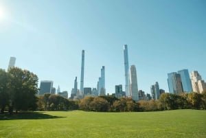 Løft energien din: Yoga utendørs i Central Park