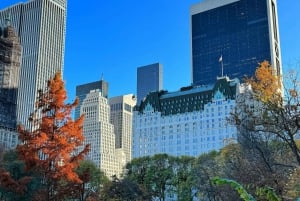 NYC: Elf og Alene Hjemme 2: Omvisning i Central Park med sykkeltaxi