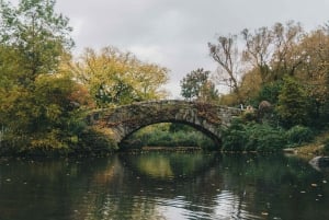 Visite des lieux de tournage de Elf et Home Alone 2 à Central Park