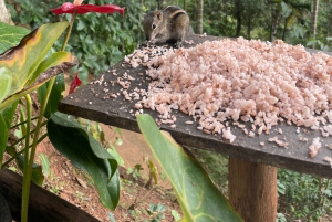 Ella Sri Lanka: Mors køkken madlavningskursus