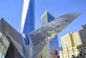 Entdecke NYCs Finanzdistrikt, das 9/11 Memorial und das Liberty Icon